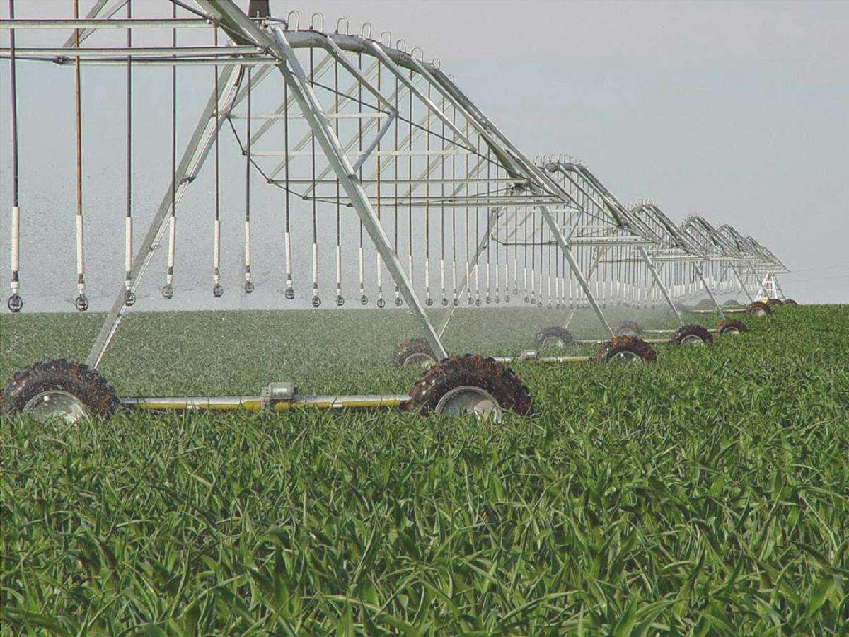 caratteristiche dell'agricoltura irrigata