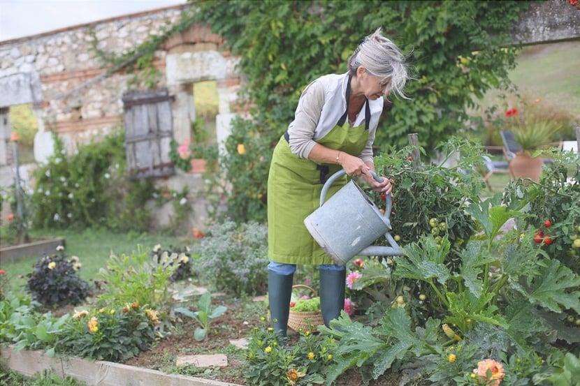 Impara perché il giardinaggio organico fa bene all'ambiente