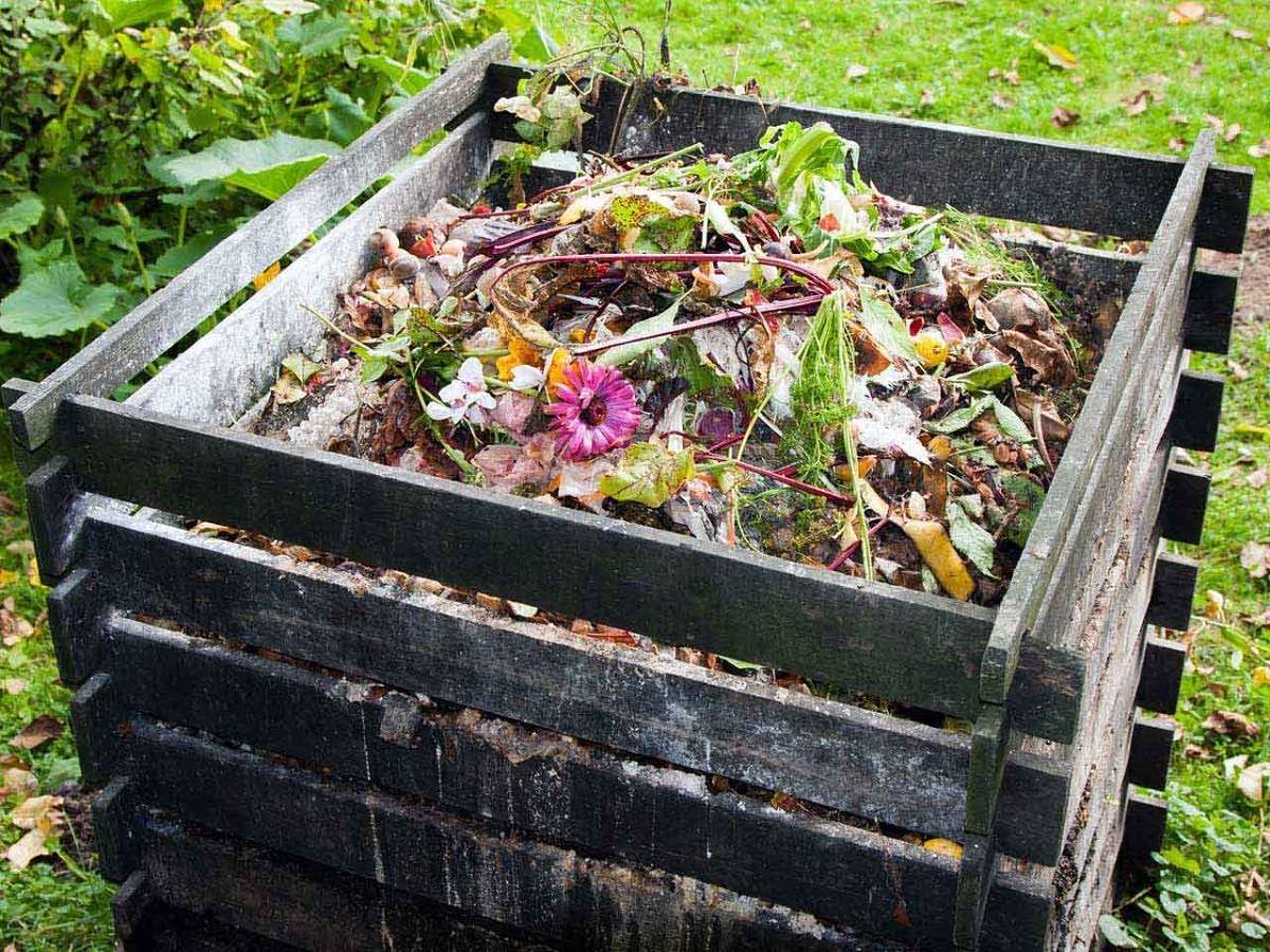 Come fare il compost fatto in casa: passo dopo passo