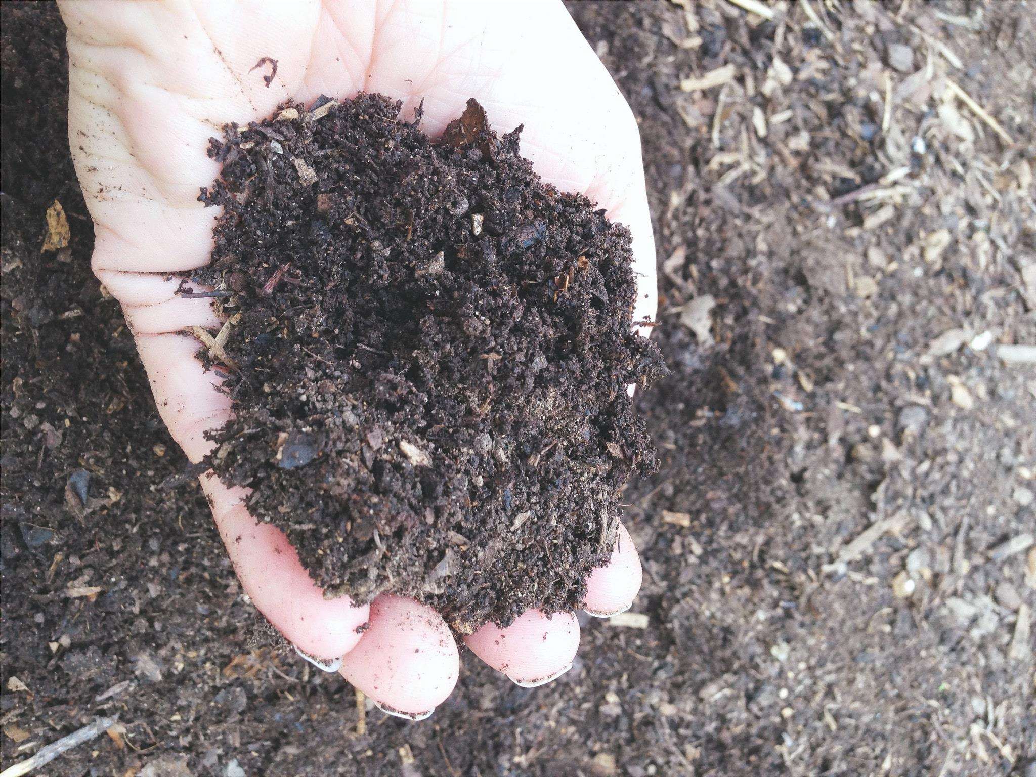 Compost, un fertilizzante organico