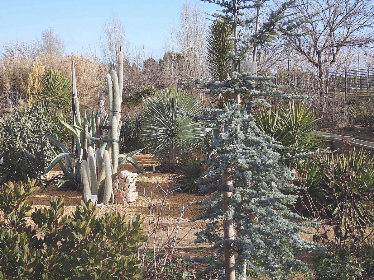 Il giardino botanico di Castilla la Mancha si trova in Spagna.