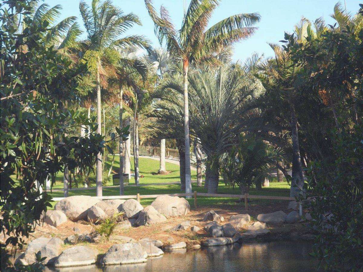 Il Palmetum di Tenerife è un giardino moderno