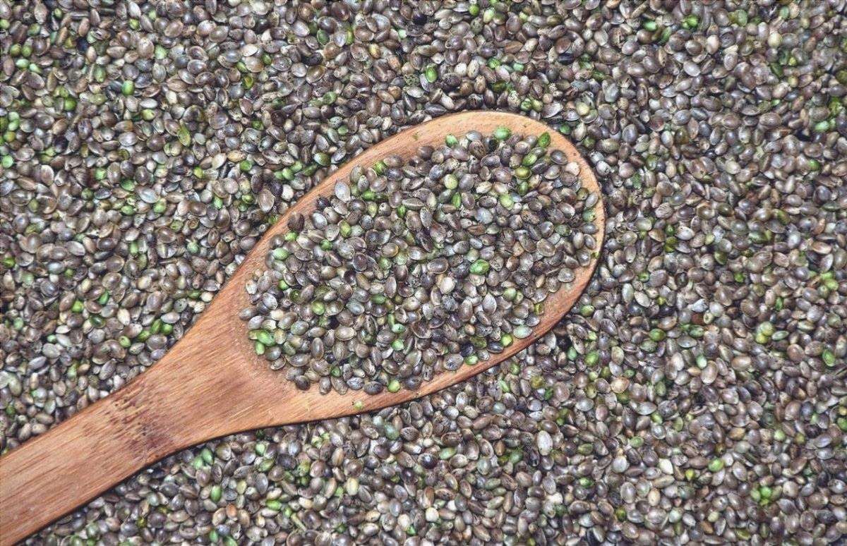 molti semi raccolti con un cucchiaio di legno