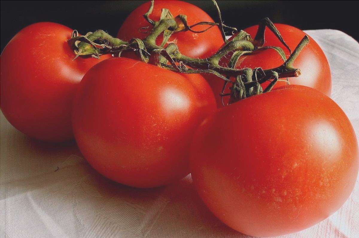 Top 5 varietà di pomodori