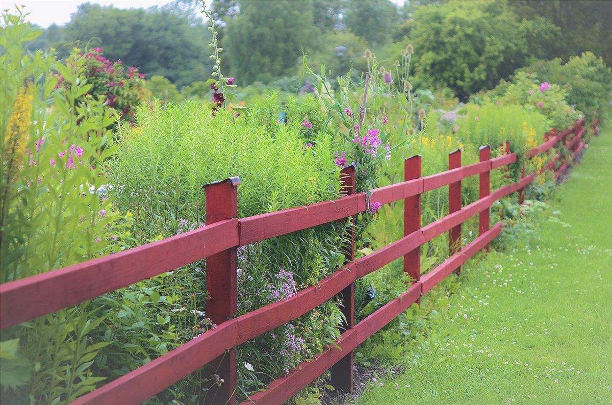 Recinzioni da giardino: le migliori recinzioni da giardino e guida all'acquisto