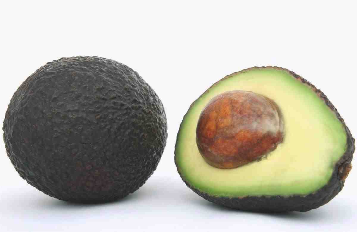 Curiosità sull'avocado che dovresti conoscere