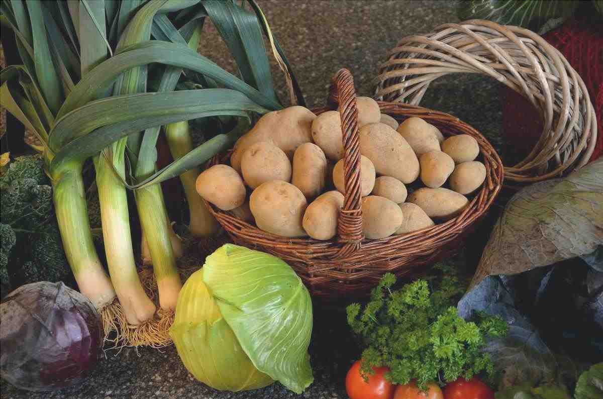 Puoi piantare le patate in vaso con facilità