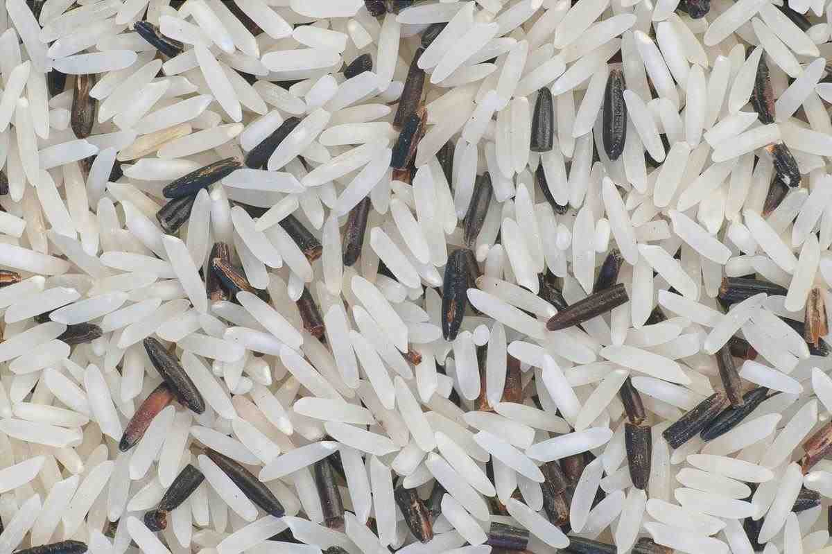Il riso è un cereale molto importante
