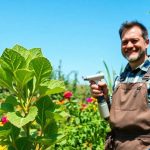 Cosa mettere alle piante quando hanno la plaga