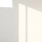 Bichos diminutos blancos en paredes: causas y soluciones