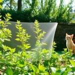 Malla per proteggere piante dai gatti